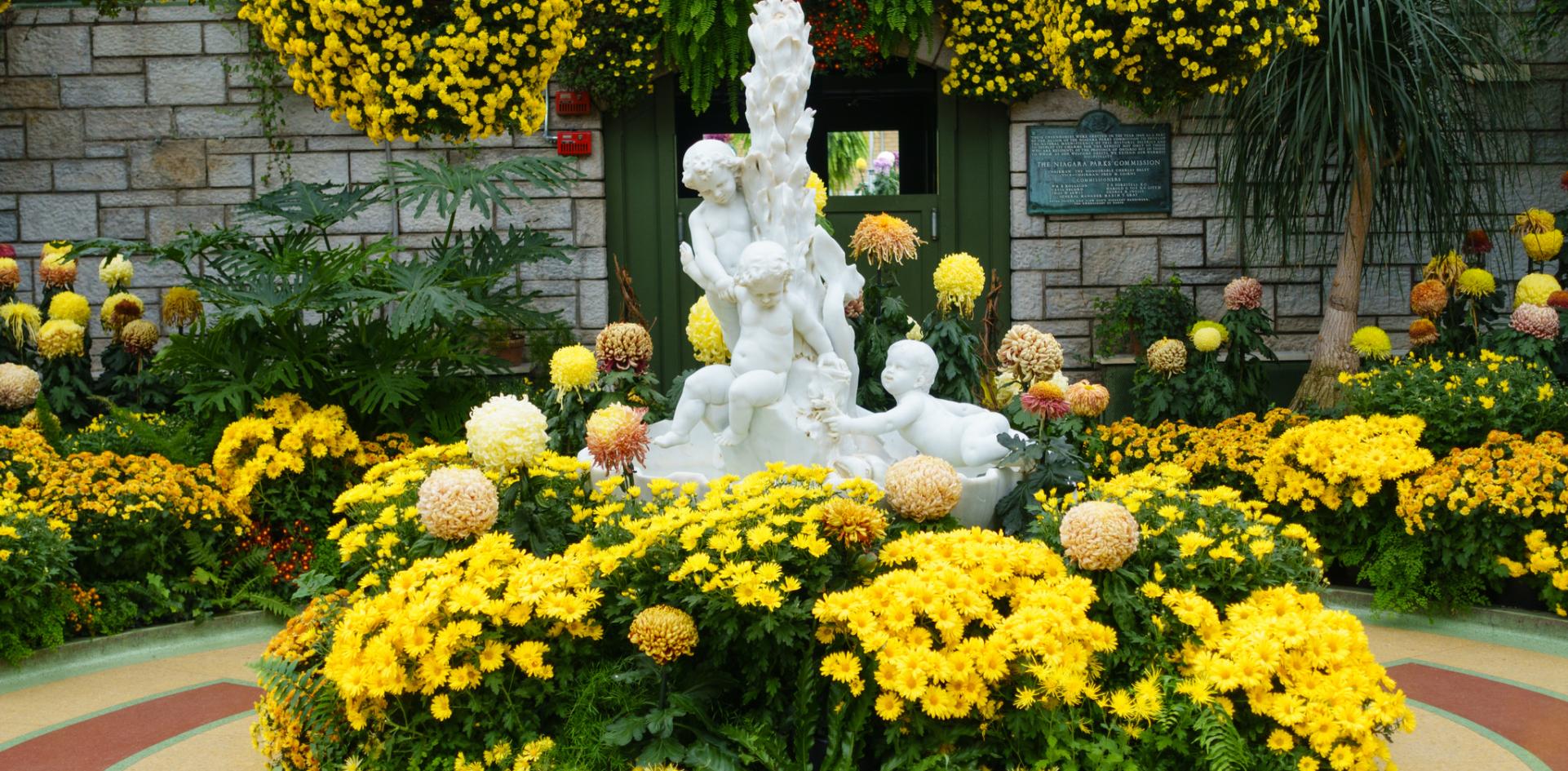 Photo Credit: <a href=__gary.html J. Wood</a> | Flickr niagara gardens floral showhouse