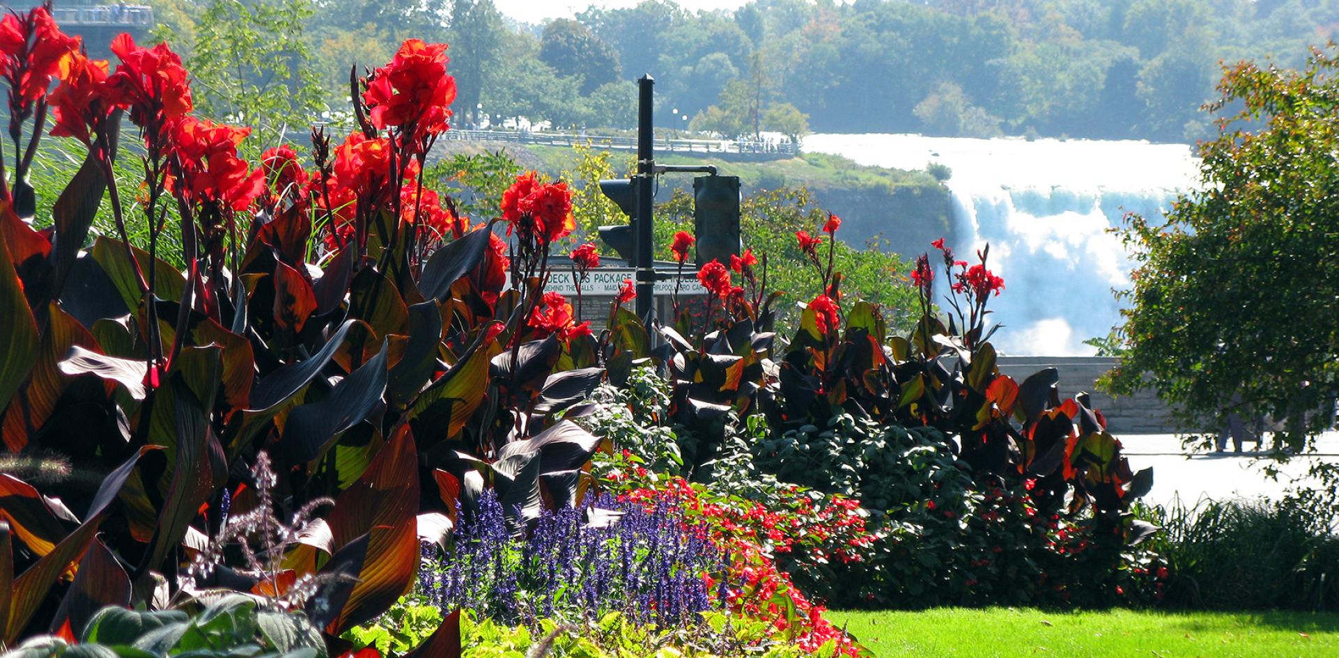 Photo Credit: <a href=__diego.html Torres Silvestre</a> | Flickr queen victoria park